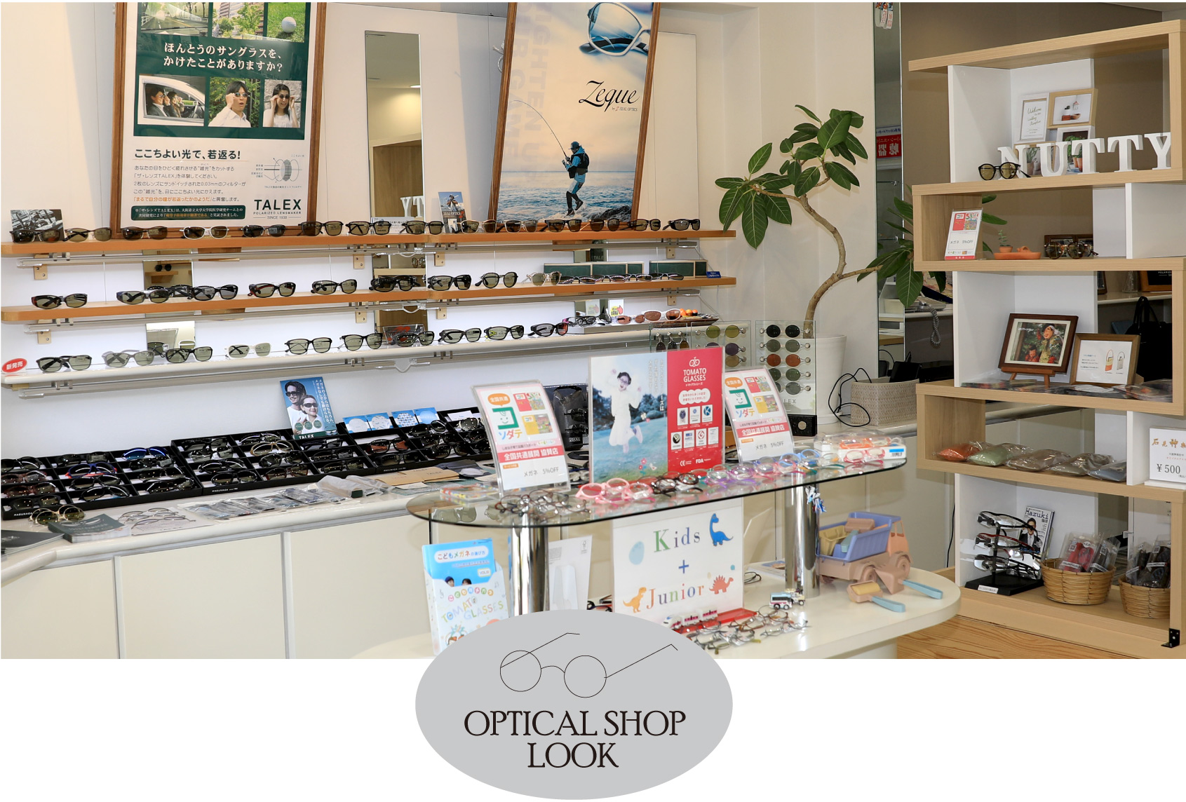OPTICAL SHOP LOOK