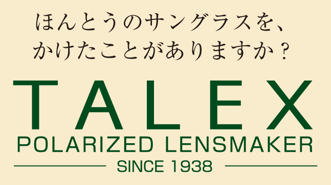 ほんとうのサングラスをかけたことがありますか？TALEX